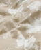 Beige Peoney