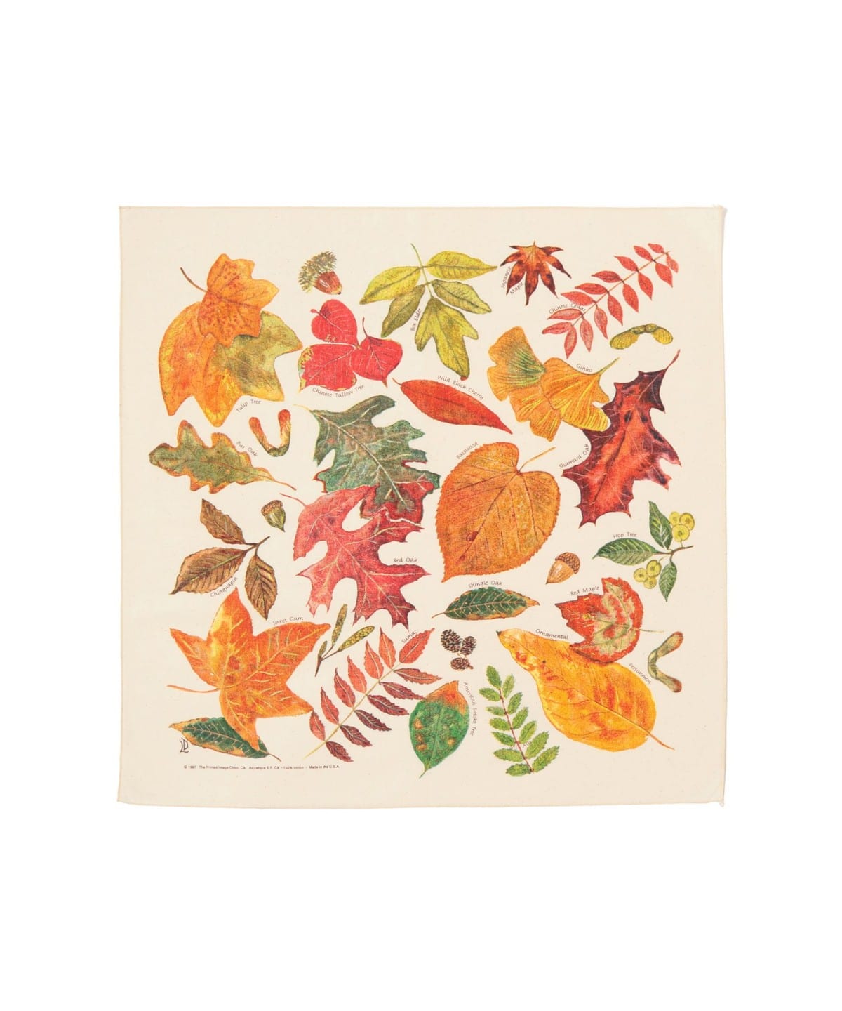 The Printed Image / BANDANA 財布・小物 MEN FALL LEAVES NATURAL ONE SIZE The Printed Image / BANDANA 財布・小物 MEN FALL LEAVES NATURAL ONE SIZE