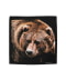 BEAR BLACK