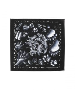 The Printed Image / BANDANA