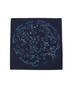 The Printed Image / BANDANA
