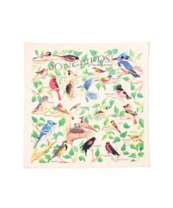 The Printed Image / BANDANA