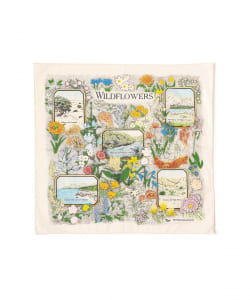 The Printed Image / BANDANA