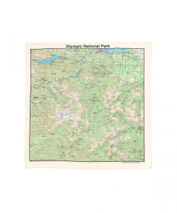 The Printed Image / BANDANA