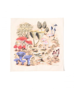 The Printed Image / BANDANA