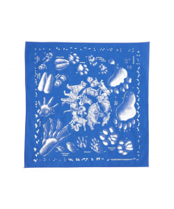 The Printed Image / BANDANA