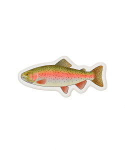 FiiiiiSH / FISH RUG