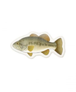 FiiiiiSH / FISH RUG
