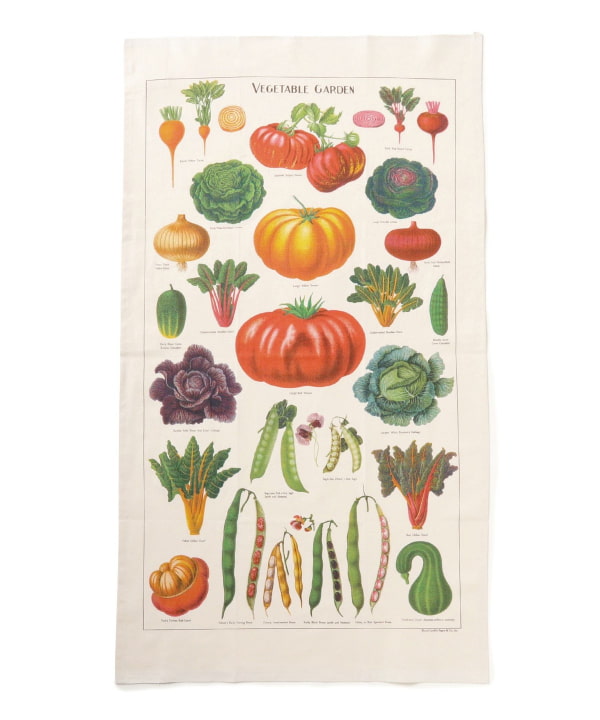 ひなたん【２枚】新品✨CAVALLlNIカヴァリーニのコットンティータオル bPr BEAMS（bPrビームス）Cavallini & co. / TEA TOWEL（食器