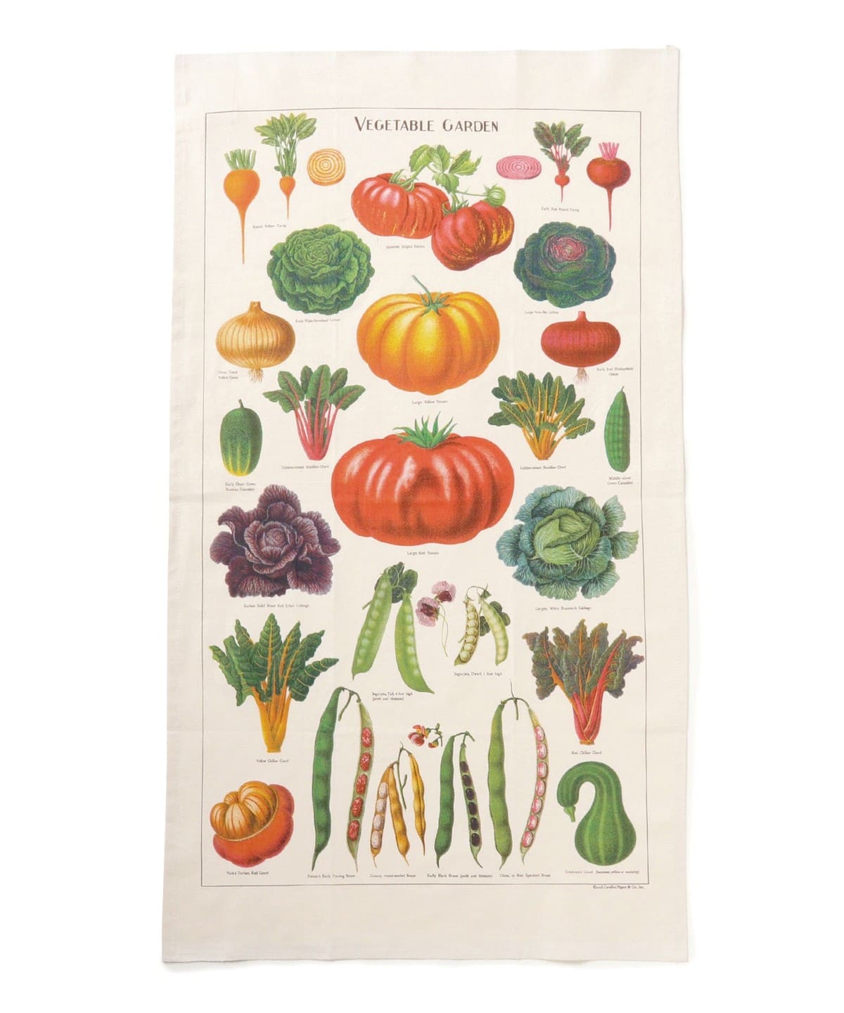 Cavallini & co. / TEA TOWEL 食器・キッチン・食品 MEN VEGETABLE ONE SIZE Cavallini & co. / TEA TOWEL 食器・キッチン・食品 MEN VEGETABLE ONE SIZE
