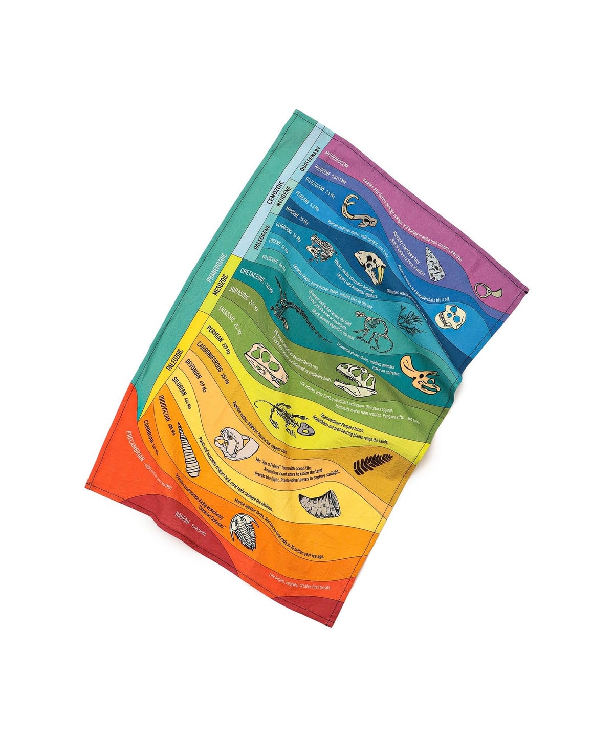 Unemployed Philosophers Guild / Dish Towel 食器・キッチン・食品 MEN GEOLOGIC TIME ONE SIZE Unemployed Philosophers Guild / Dish Towel 食器・キッチン・食品 MEN GEOLOGIC TIME ONE SIZE