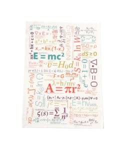Unemployed Philosophers Guild / Dish Towel
