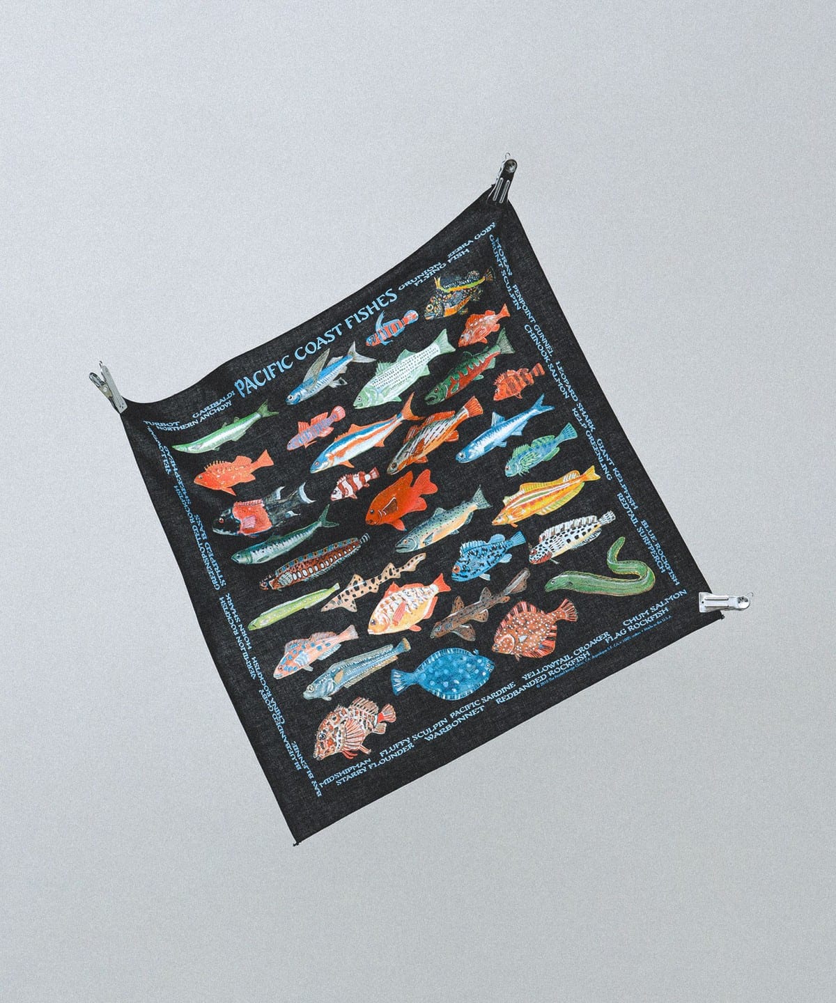 bPr BEAMS（bPrビームス）【別注】THE PRINTED IMAGE / BANDANA（財布
