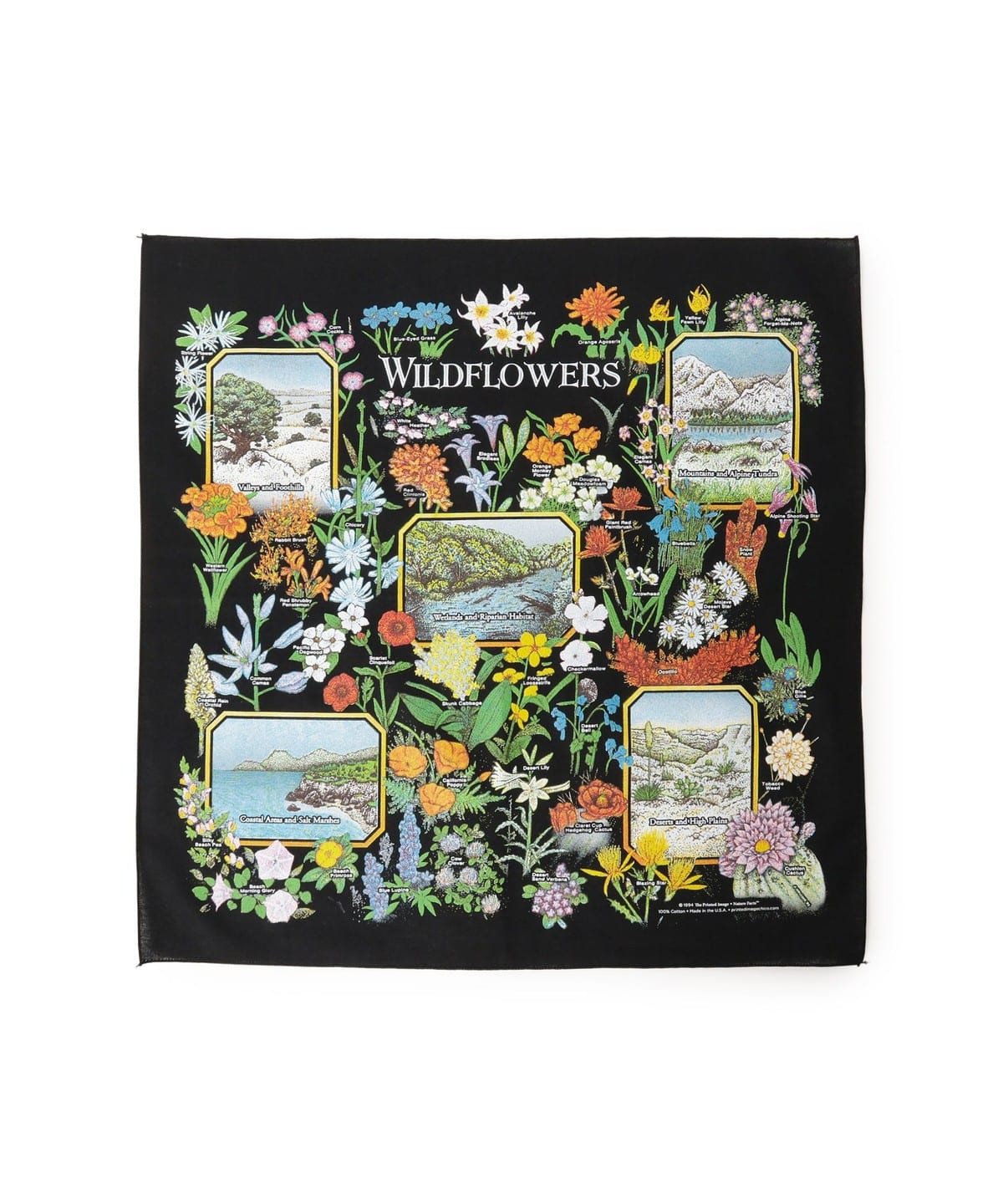 �y�ʒ��zTHE PRINTED IMAGE �v�����e�b�h�C���[�W / BANDANA ���z�E���� MEN WIRD FLOWERS ONE SIZE