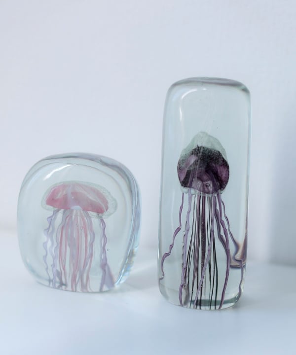 bPr BEAMS（bPrビームス）DETAIL INC. / Jellyfish Twisted Leg 