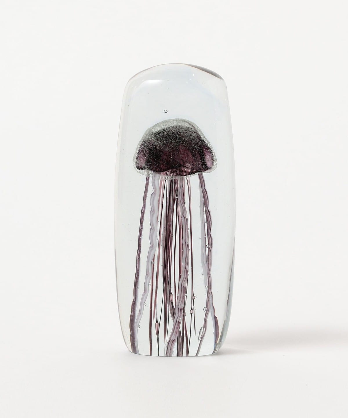 bPr BEAMS（bPrビームス）DETAIL INC. / Jellyfish Twisted Leg