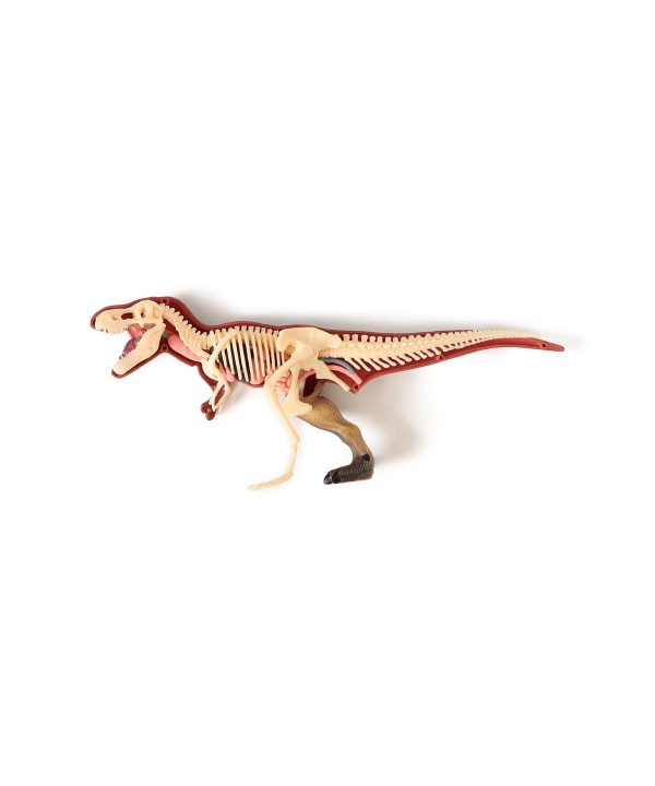 bPr BEAMS（bPrビームス）4D MASTER / ANIMAL ANATOMY（雑貨