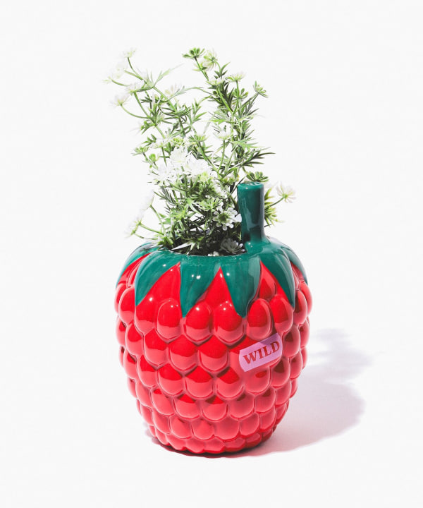 bPr BEAMS（bPrビームス）DOIY / RASBERRY フラワーベース（インテリア