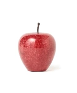 Swimsuit Department / MARBLE APPLE