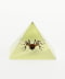 STAG BEETLE