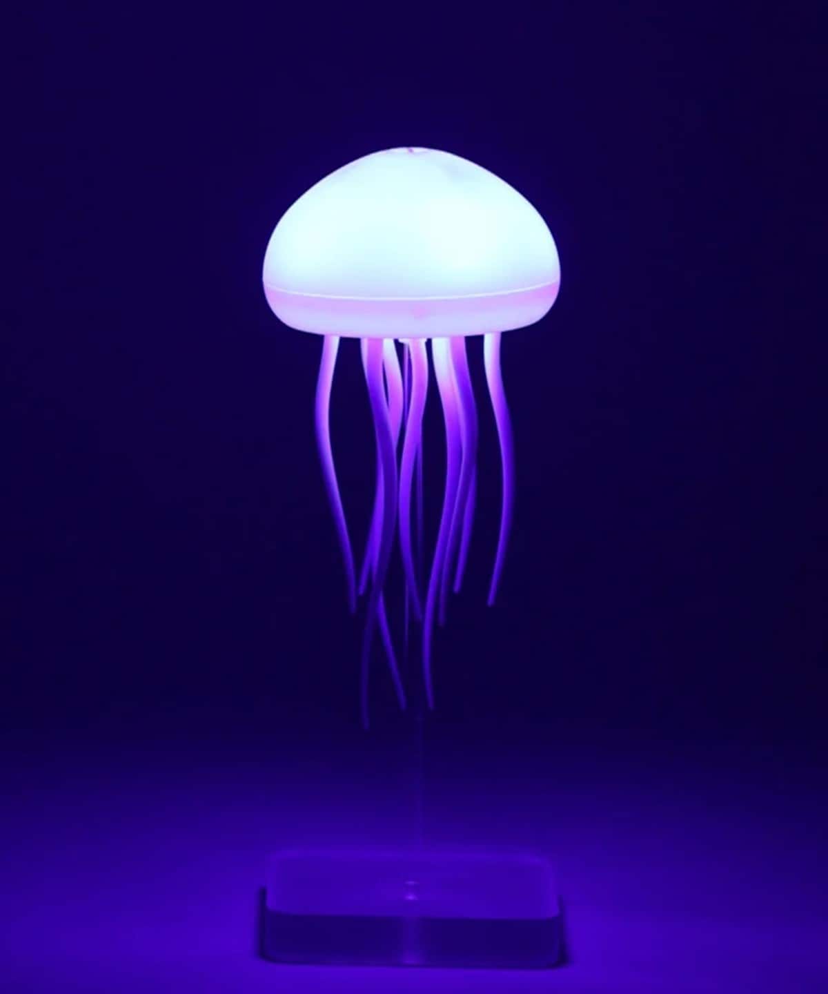 magnet / FLOATING JELLY FISH インテリア MEN - ONE SIZE magnet / FLOATING JELLY FISH インテリア MEN - ONE SIZE