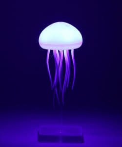 magnet / FLOATING JELLY FISH