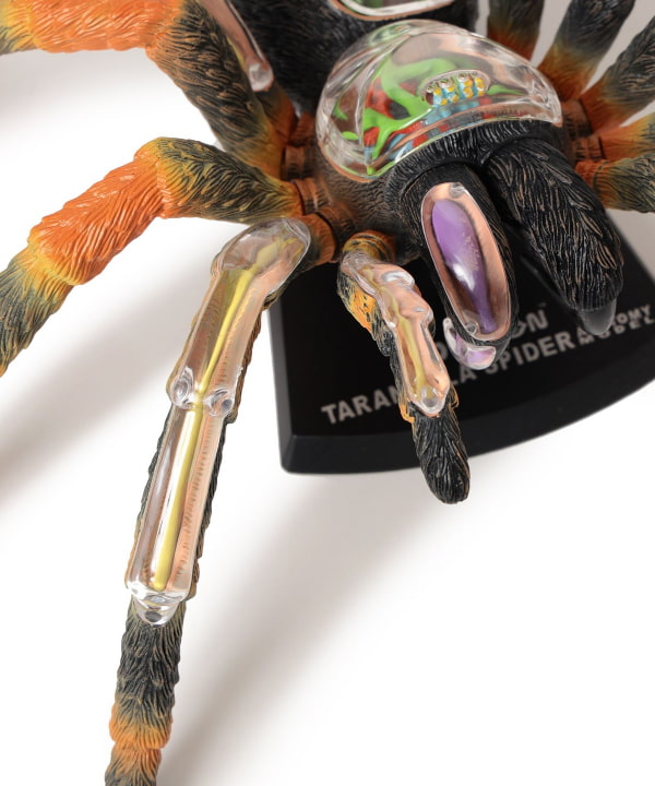 bPr BEAMS（bPrビームス）4D MASTER / INSECT ANATOMY（インテリア