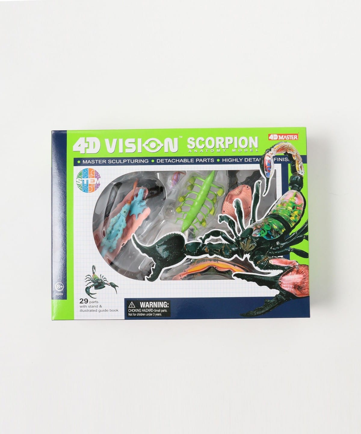 bPr BEAMS（bPrビームス）4D MASTER / INSECT ANATOMY（インテリア