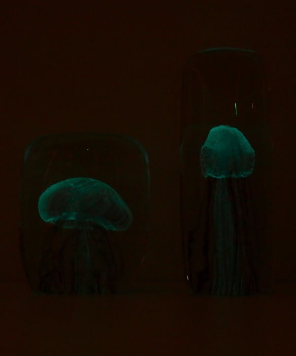 bPr BEAMS（bPrビームス）DETAIL INC. / Jellyfish Twisted Leg