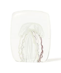DETAIL INC. / Jellyfish Twisted Leg 