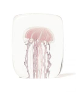 DETAIL INC. / Jellyfish Twisted Leg 