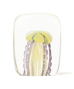 DETAIL INC. / Jellyfish Twisted Leg 