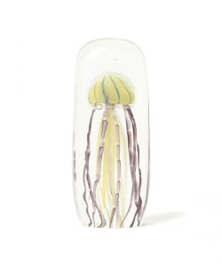DETAIL INC. / Jellyfish Twisted Leg 