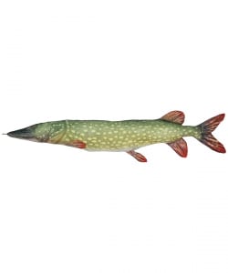 DULTON / FISHES PIKE 195 クッション