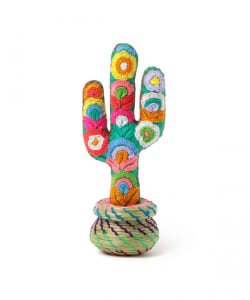 【ショップ限定商品】	CACTUS BOX S