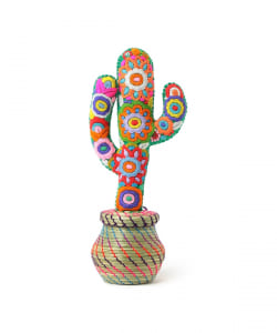 【ショップ限定商品】CACTUS BOX M
