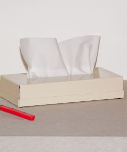 RARERAW / STANDARD TISSUECASE L