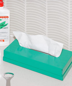 RARERAW / STANDARD TISSUECASE L