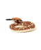 Burmese python
