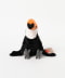 TOCO TOUCAN
