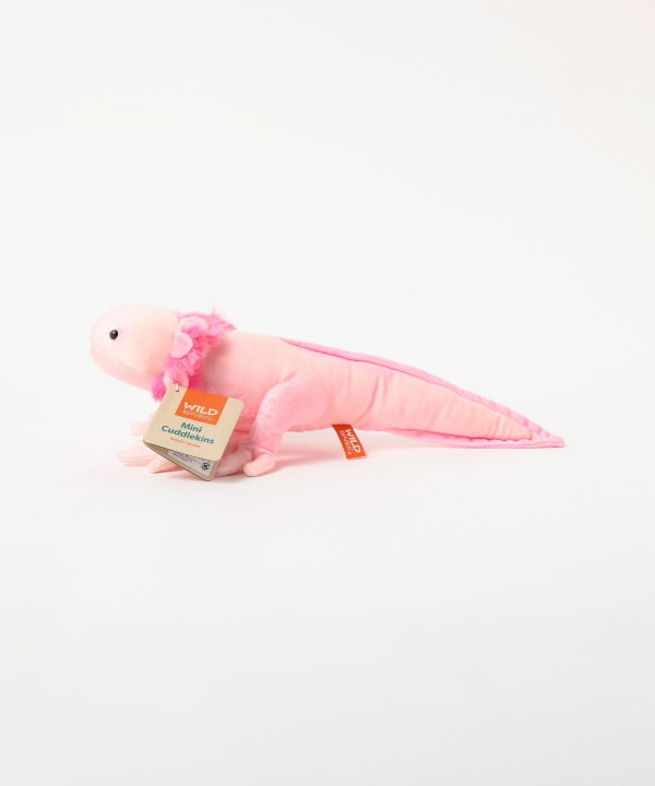 item main image