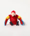 MACAW
