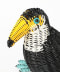 TOUCAN