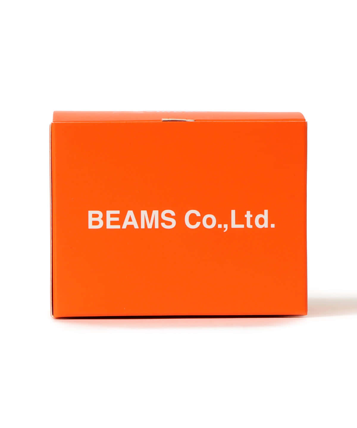 bpr BEAMS ストライプ カメラストラップ　ビームス