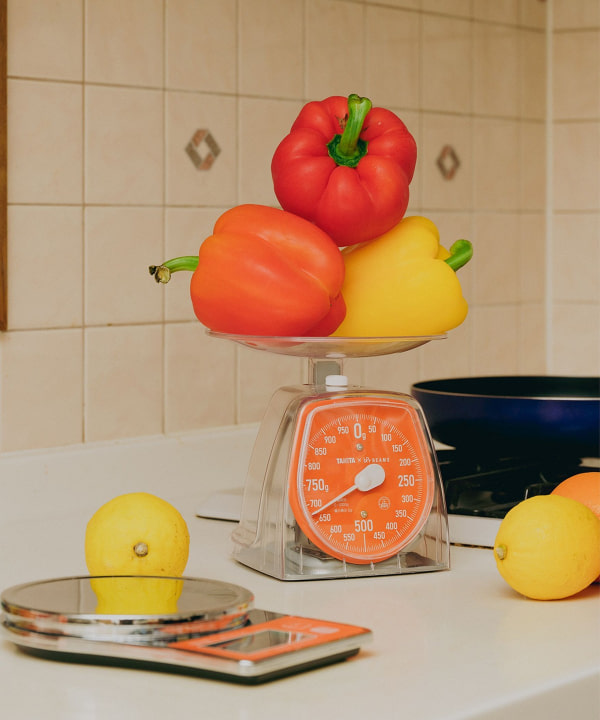 SALTER WILLIAMS-SONOMA アナログスケール SALTER WILLIAMS-SONOMA アナログスケール