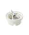 Panna White