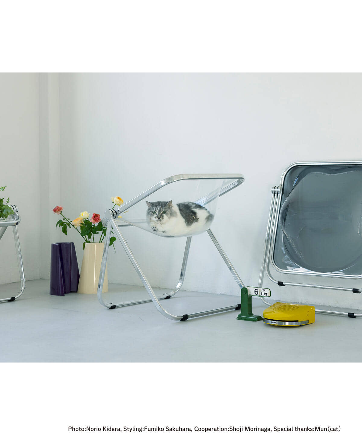 bPr BEAMS（bPrビームス）ANONIMA CASTELLI / Plona Arm Chair