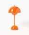 Zesty Orange