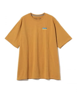 Patagonia / Fitz Roy Wild Responsibili Tee