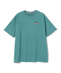 Patagonia / Fitz Roy Wild Responsibili Tee